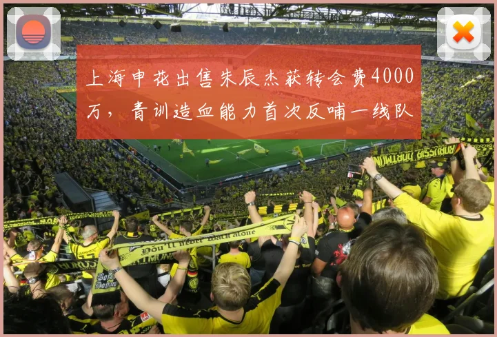 上海申花出售朱辰杰获转会费4000万,青训造血能力首次反哺一线队